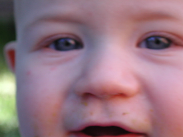 DSCN1331